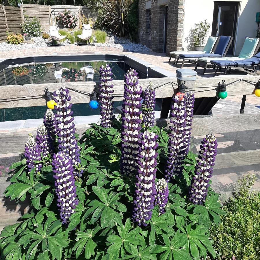 Le Val Daniniere B&B Adult Only Le Mesnil-Garnier المظهر الخارجي الصورة